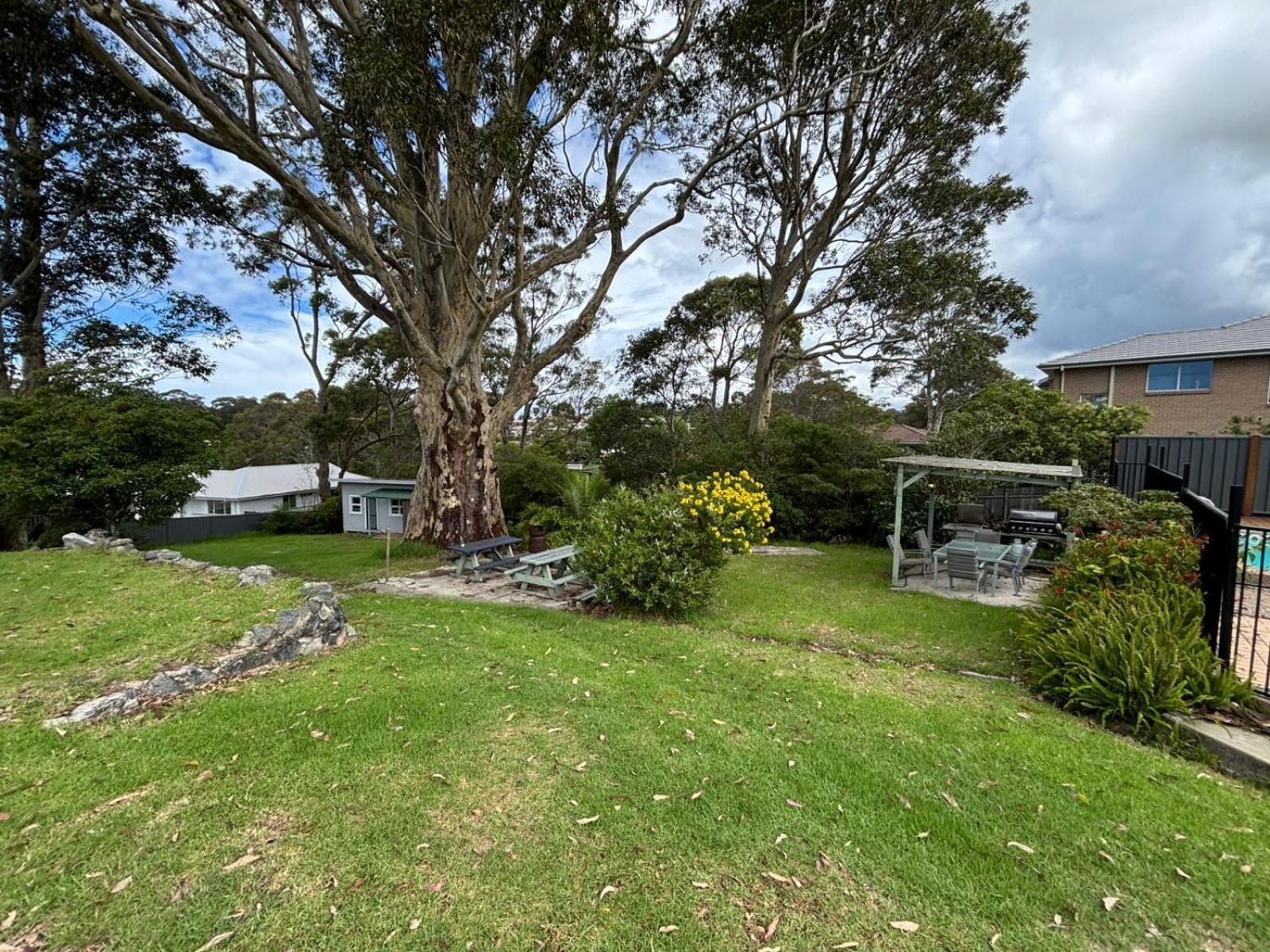 The Tree Motel Narooma Buitenkant foto
